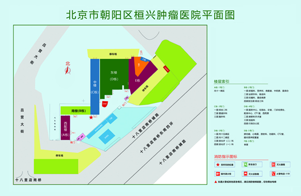 大骚屁股操北京市朝阳区桓兴肿瘤医院平面图